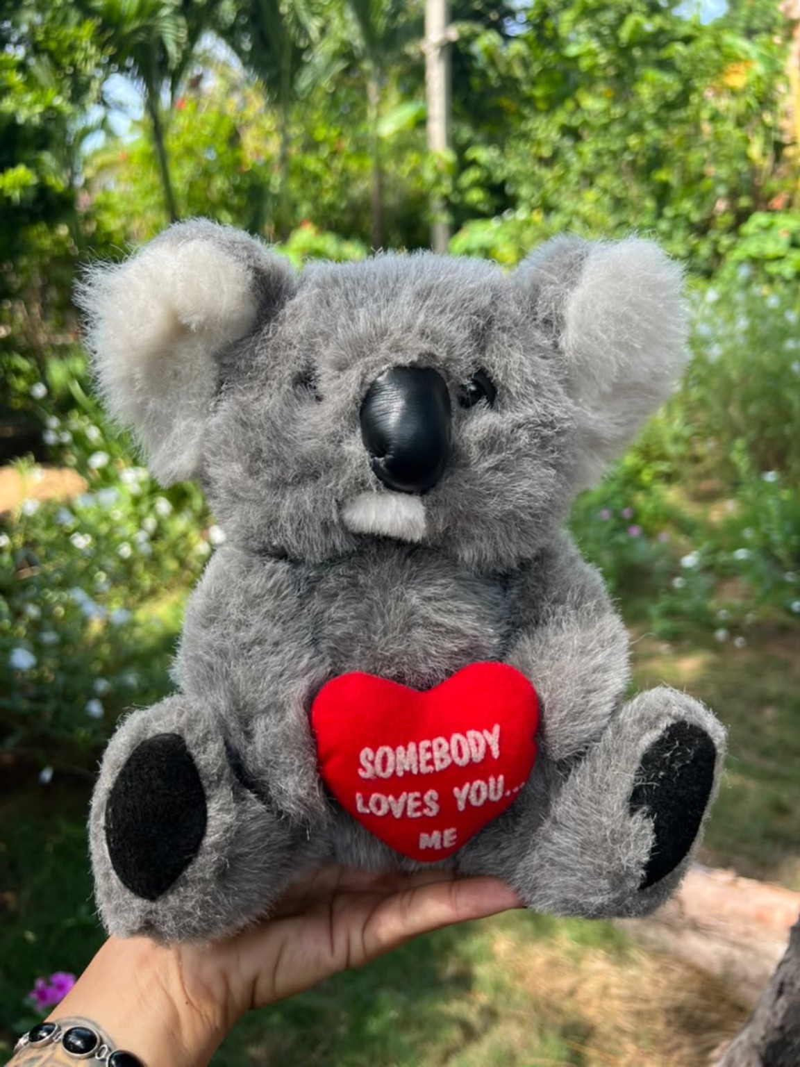 Peluche de koala gris sosteniendo un corazón rojo con mensaje.