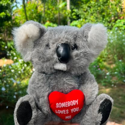 Peluche de koala gris sosteniendo un corazón rojo con mensaje.