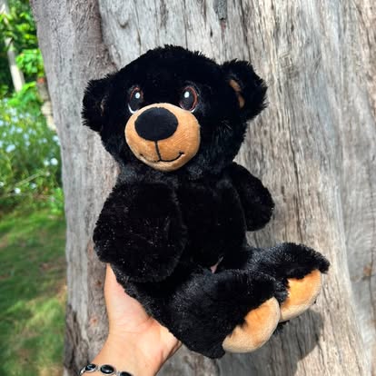 Peluche de osito negro con hocico y patas en tono claro.