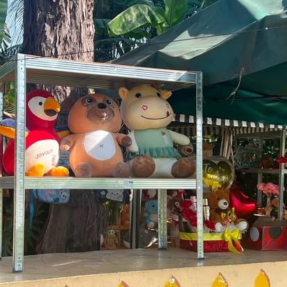 Varios modelos de peluches de animalitos. La fotografía muestra opciones; consulta cada modelo por separado.