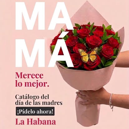 Rosas en envoltura rosada